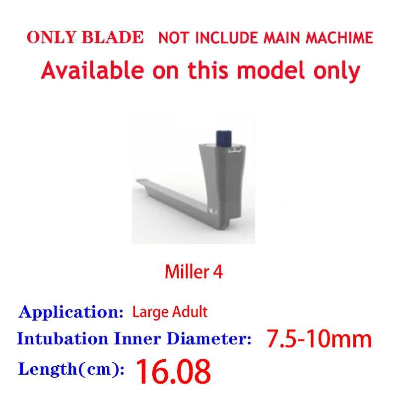 Large Adult(Miller4)