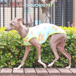 Chaleco solar para galgos y whippet – Protection UV