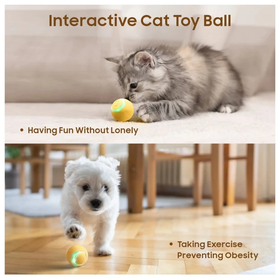 Juguete interactivo automático para gatos, pelota de entrenamiento inteligente para mascotas, juguete para gatitos, juguete para jugar en interiores - imagen 4