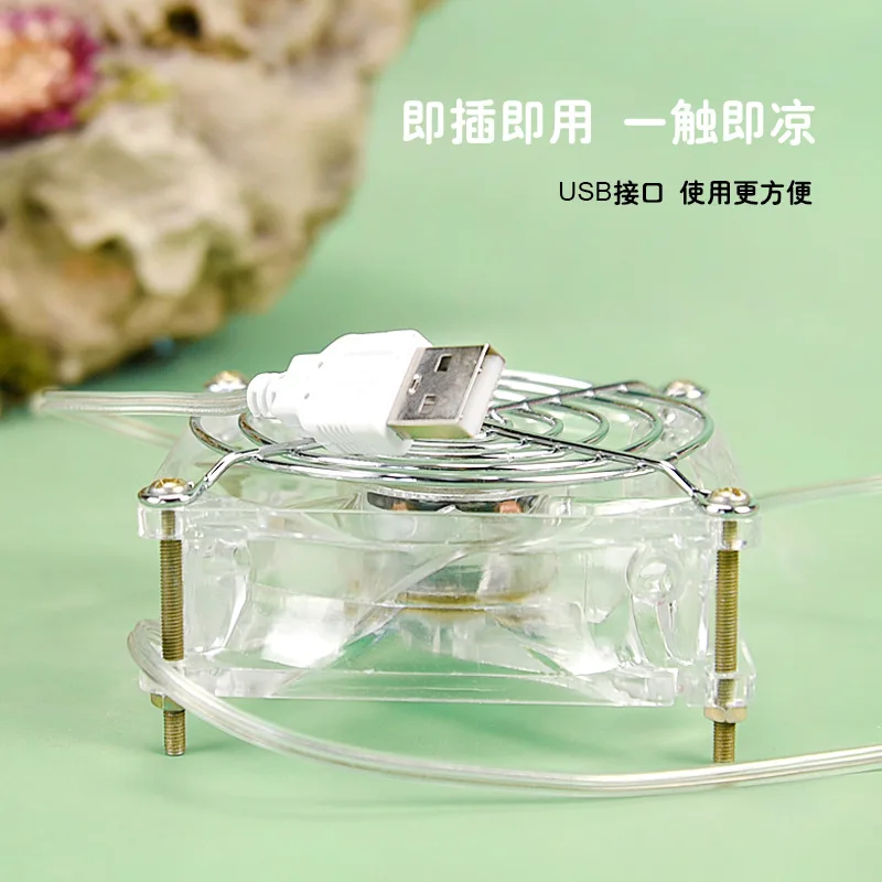 Ventilador de enfriamiento de verano para hámster, ventilador de enfriamiento para hámster, jaula básica acrílica, suministros decorativos para paisajismo, productos para mascotas - imagen 3