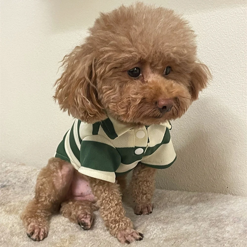 Camiseta clásica a rayas para perro, ropa de cuello alto para perros pequeños, gatos, Bulldog Francés, Schnauzer, Pug, cachorro - imagen 4