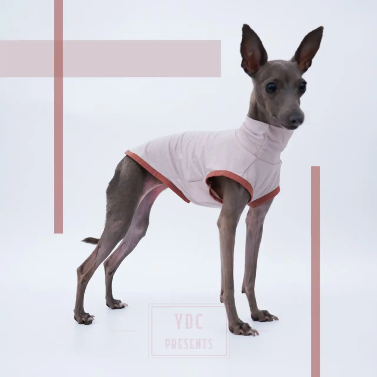 Ropa de galgo italiano, chaleco para perro de sensación fresca de verano, ultrasuave, transpirable, ligero, de alta elasticidad, deportivo para perros