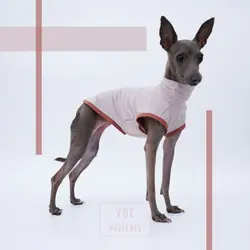 Chaleco refrigerante ultrasuave para galgo italiano – Verano