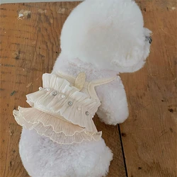 Vestido de encaje primavera para gato – Elegante y cómodo