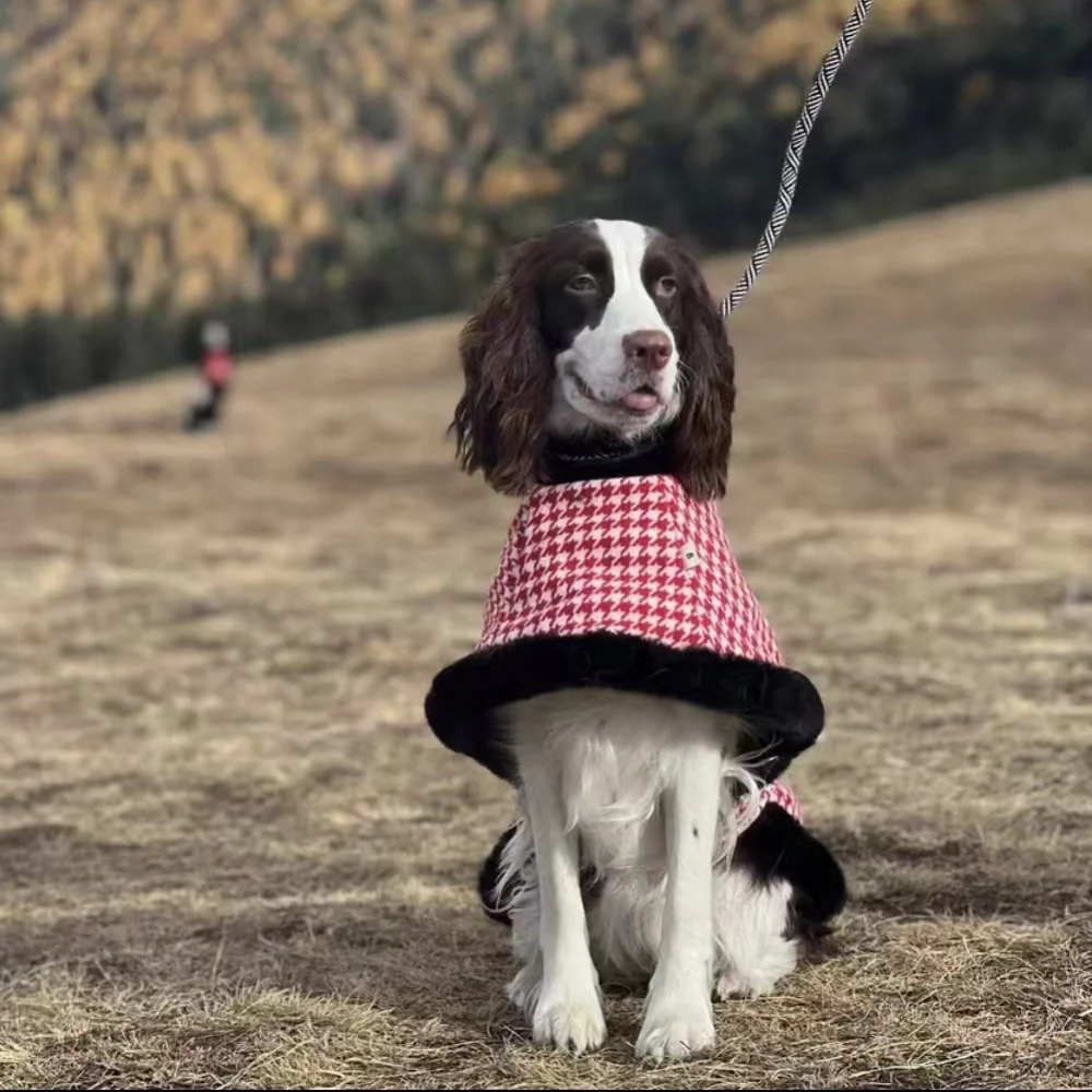 Elegante cinturilla ajustable Abrigo de algodón de invierno de pata de gallo roja para Italia Chaqueta de capa cálida a prueba de viento Greyhound para perro whippet - imagen 4