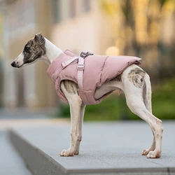 Chaqueta de moda para perros pequeños y medianos con arnes