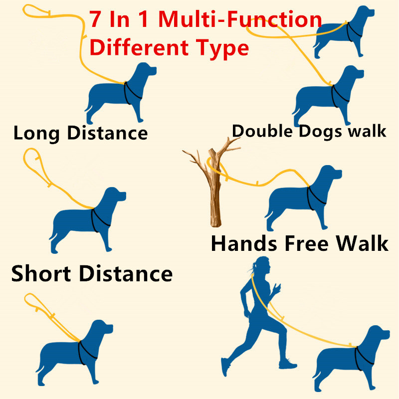 2 perros caminan correas reflectantes perros cuerda cadena correr mascotas