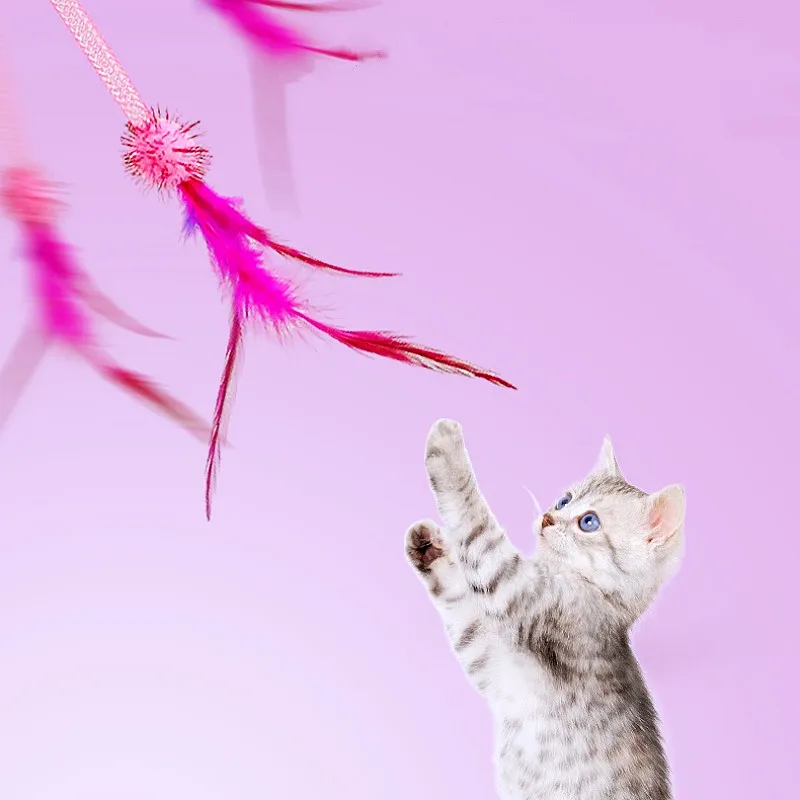 Juguete para gatos con plumas, palo de malla elástica, juguetes para gatos, juguetes interactivos con borlas de mariposa y borlas para gatos - imagen 5