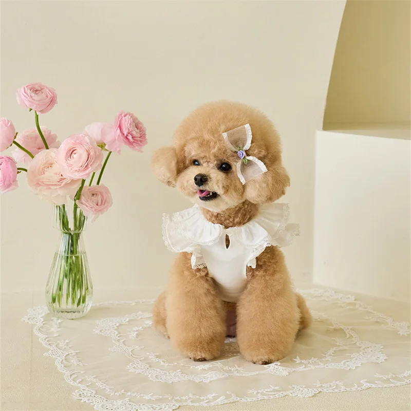 Vestido de verano para mascotas Ins, falda de manga voladora de encaje, camisa inferior de peluche, camiseta para gatos, ropa para cachorros, ropa para perros pequeños - imagen 2