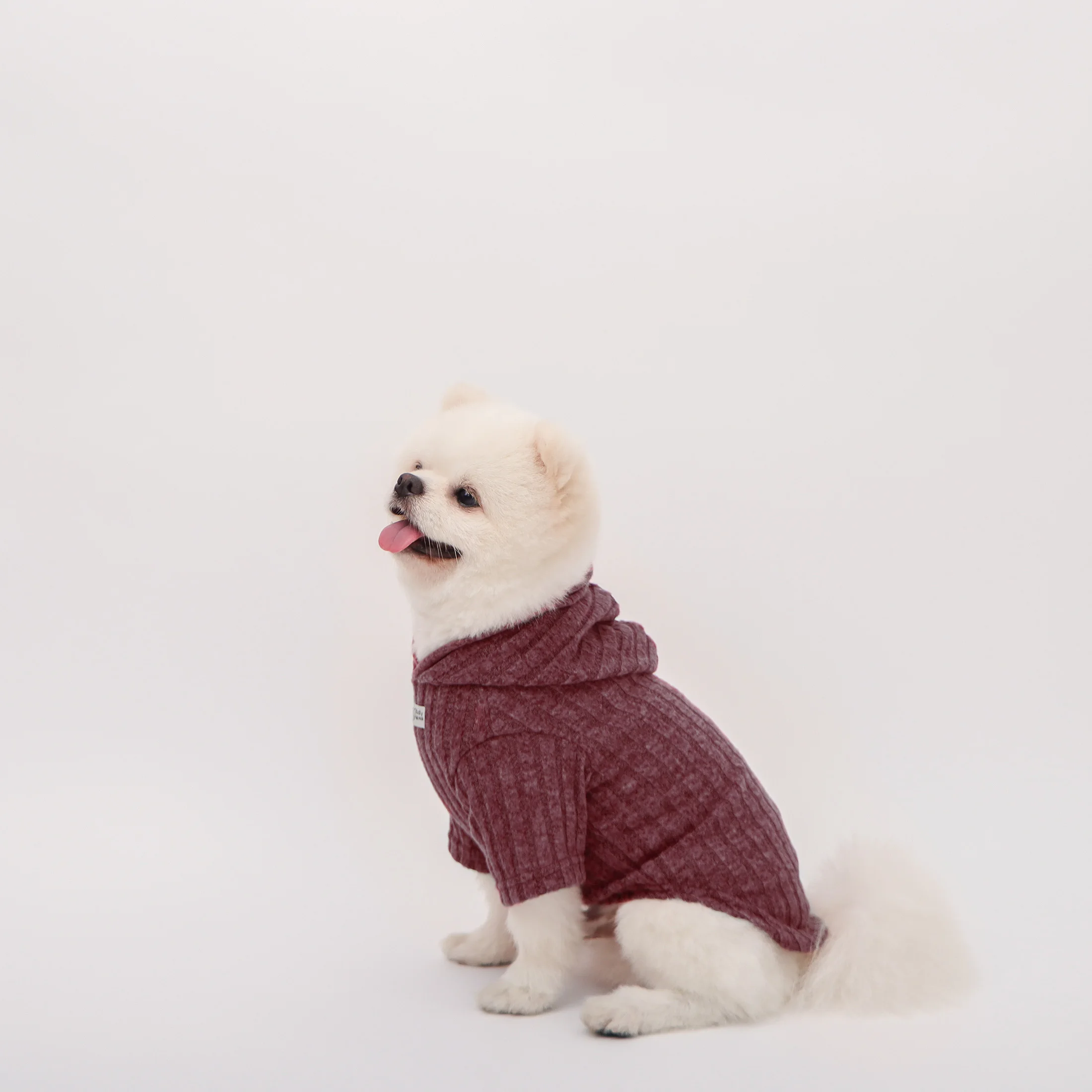 Sudadera con capucha cálida para perros y gatos pequeños, suave - imagen 2