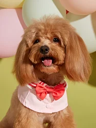 Bandana con lazo lavable para perro – Protector saliva y bufanda diaria