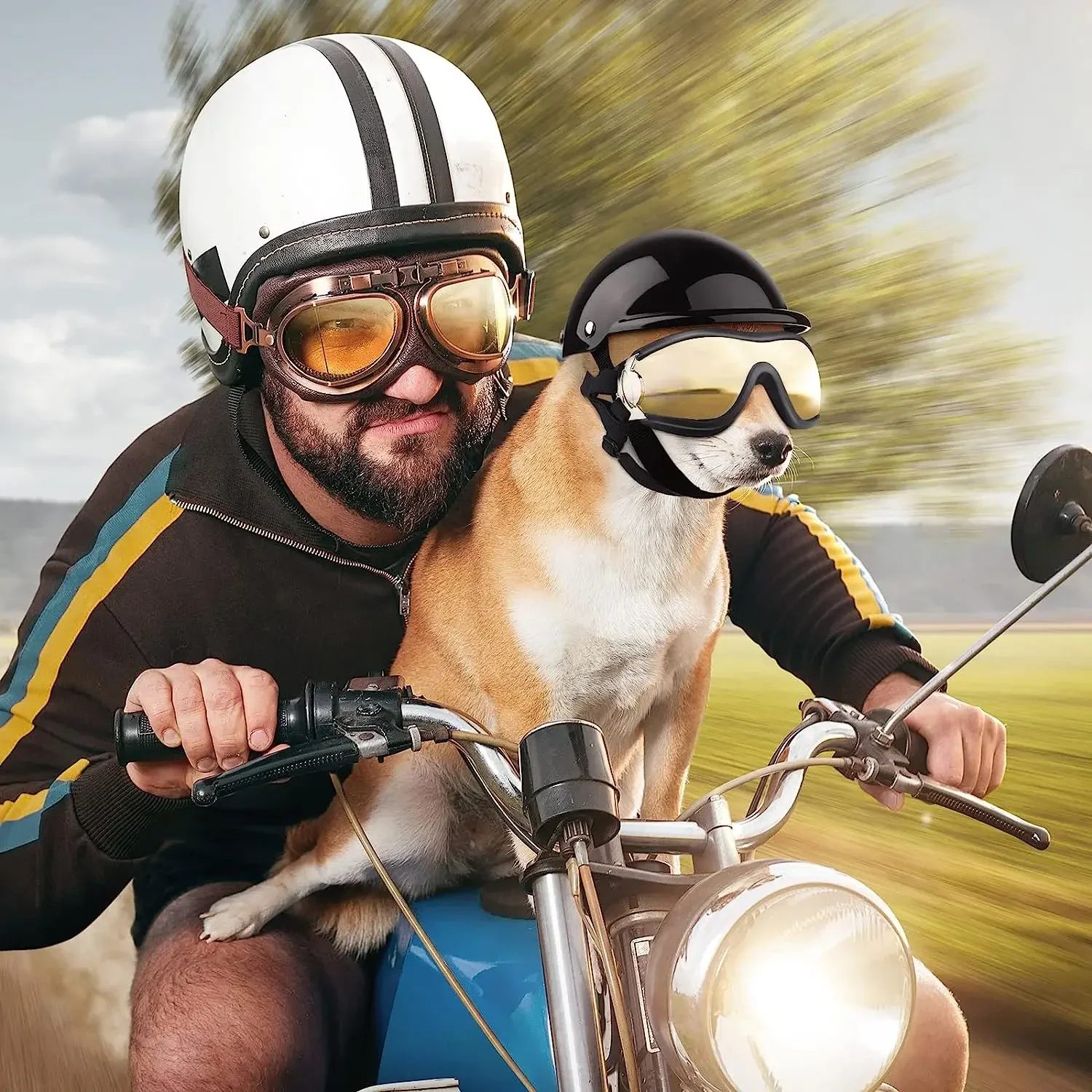 Juego de gafas de sol y casco para mascotas, protección contra el polvo, el viento y los rayos UV, casco y gafas ajustables para perros, casco de motocicleta para perros - imagen 4