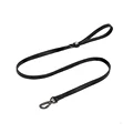 black leash