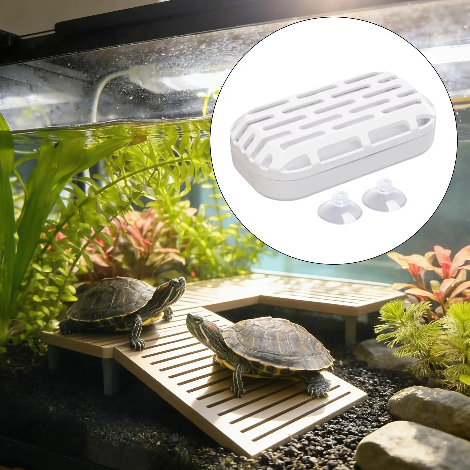 Turtle Habitat Accessories Waste Collection Box for Terrarium Dry Turtles Cage Maintenance and Aquarium
