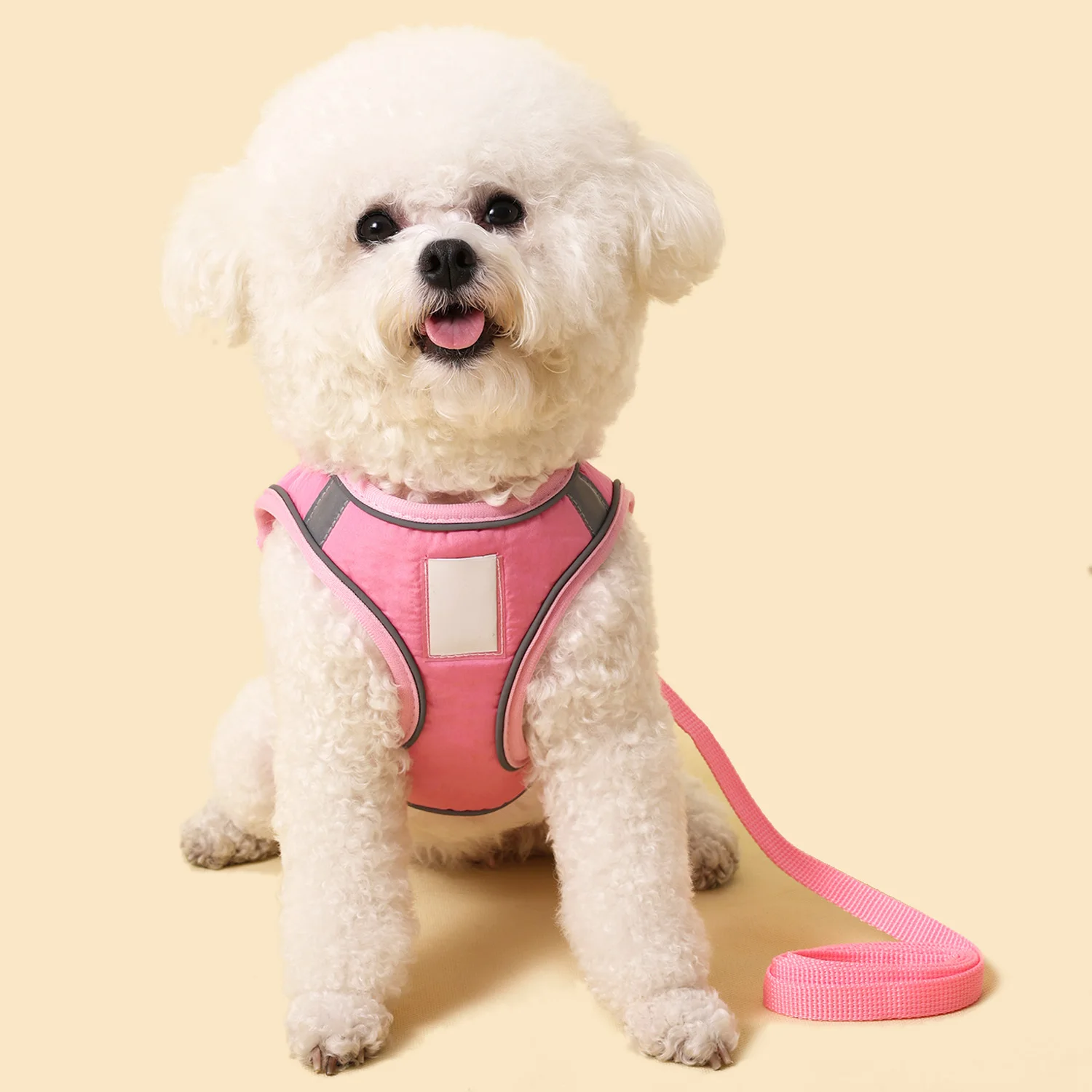 Arnés transpirable para perros pequeños, conjunto de correa de arnés reflectante ajustable para perros, accesorios cómodos para correa de gato con etiqueta de nombre - imagen 5