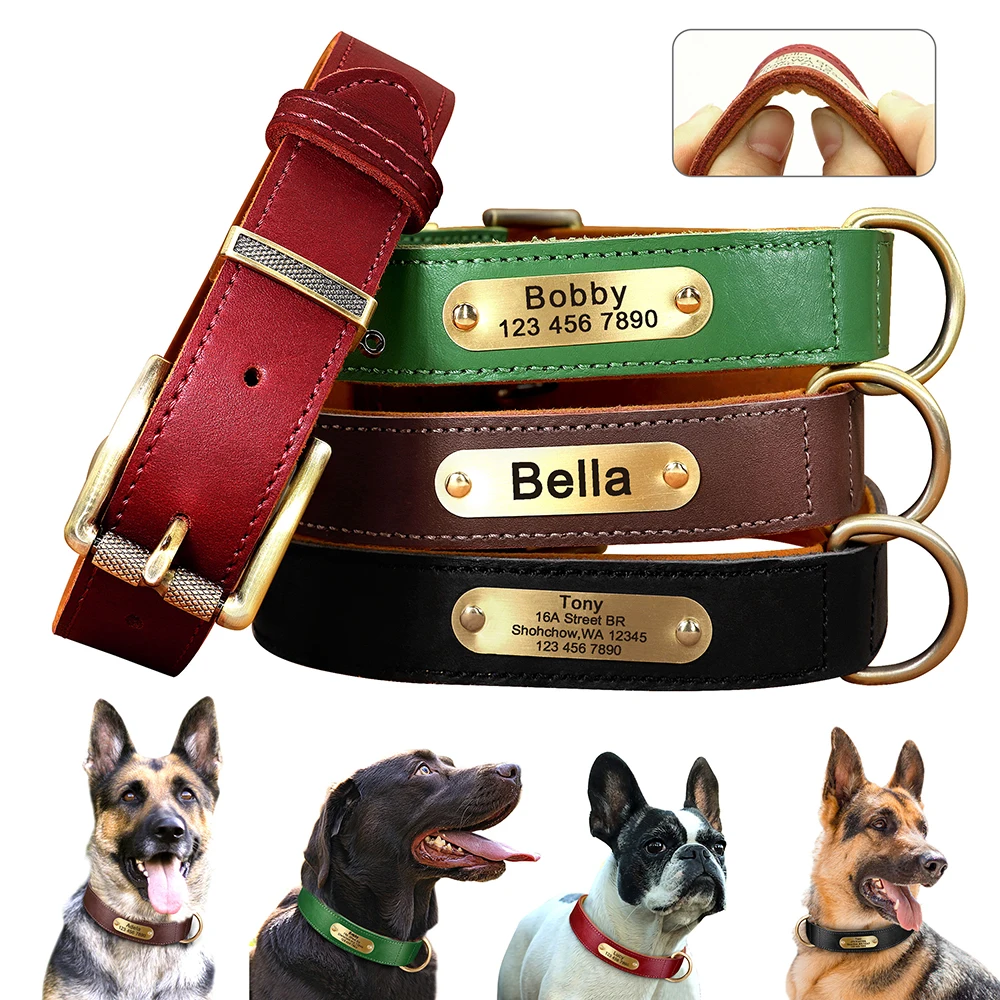 Collar personalizado cuero real perros pequeños medianos grandes placa nombre etiqueta identificación