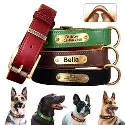 Collar de cuero para perro con placa grabada – Personalizable