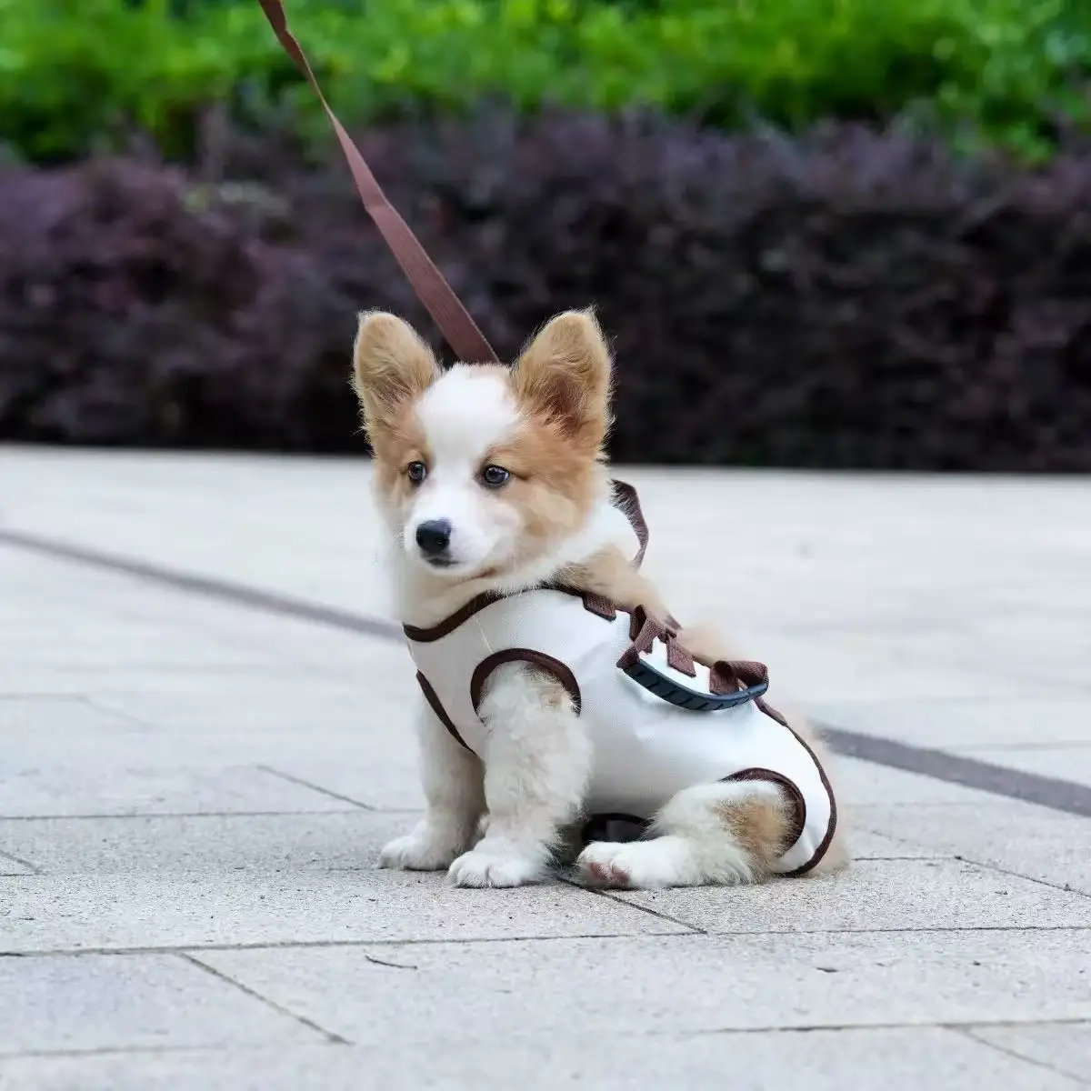 Bolso de hombro para mascotas, chaleco oblicuo portátil, cuerda de tracción para perros, suministros para mascotas de tres piezas - imagen 2