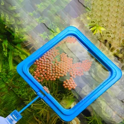 Dispensador de comida para peces con ventosa - Estación de acuario