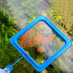 Dispensador de comida para peces con ventosa - Estación de acuario