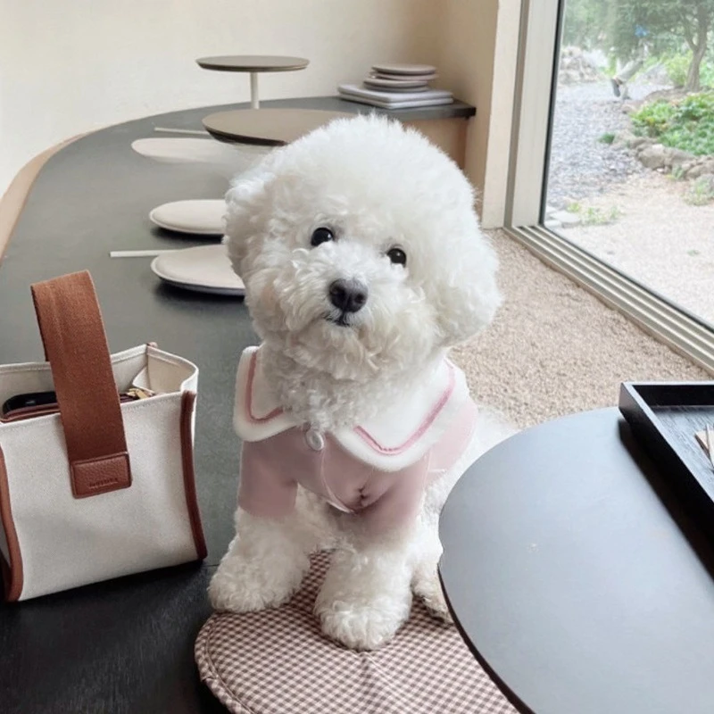 Ropa interior con capucha para otoño/invierno para mascotas, Teddy Yorkshire, ropa para perros pequeños, gatos y perros pequeños, ropa para cachorros - imagen 2