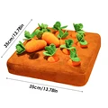 12PCS Carrots