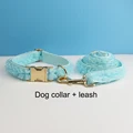 collar and leash set