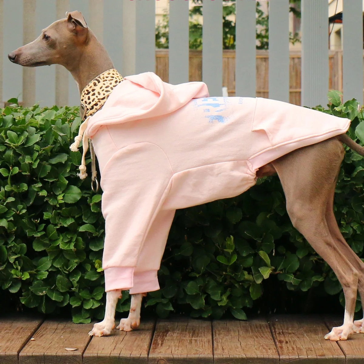 Sudadera con capucha con cordón de galgos para galgo italiano, Top blanco de manga larga para Whippet, abrigo rosa suave para perros medianos