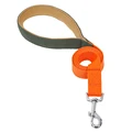 orange green leash