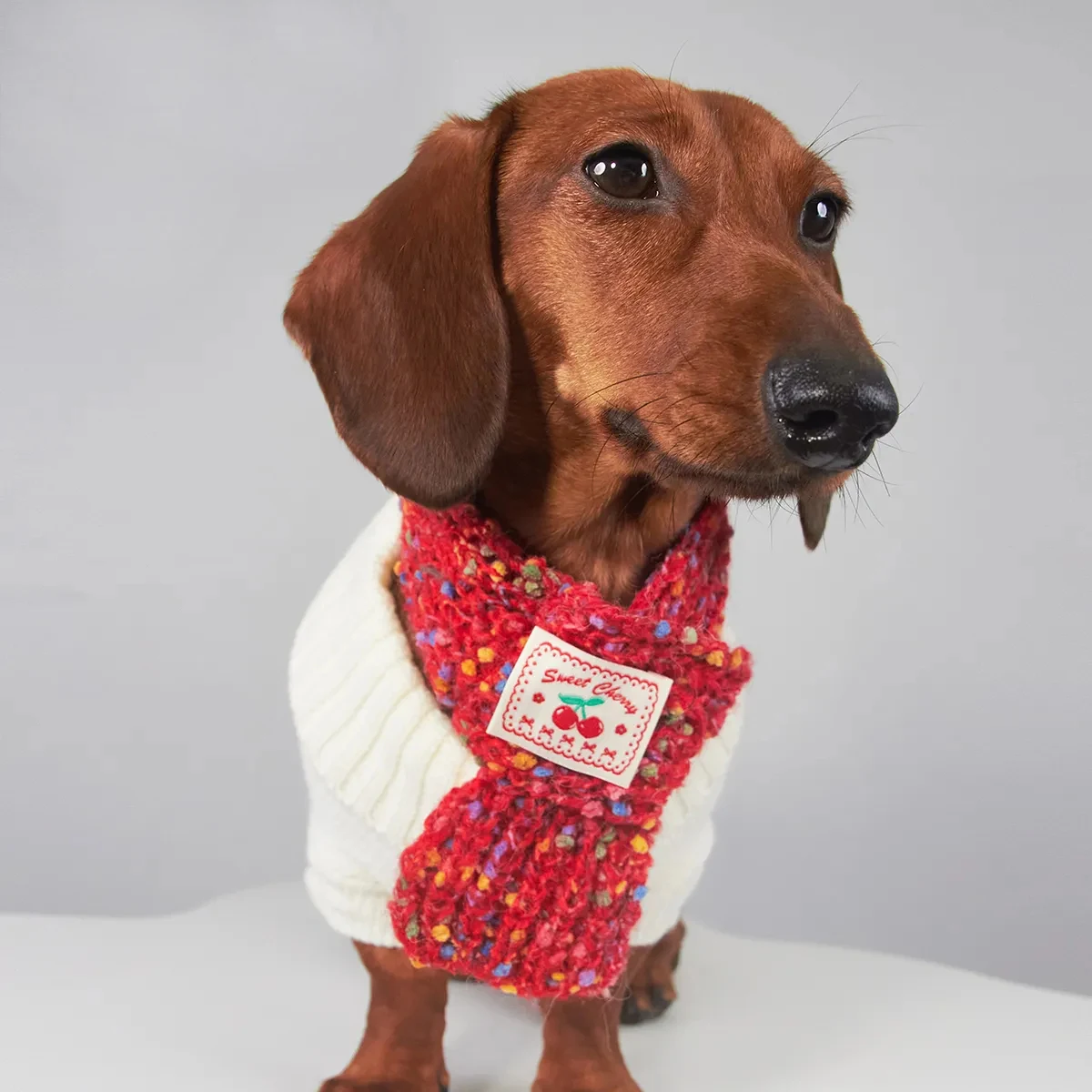 Pañuelo anticongelante cálido para perros Wiener en otoño invierno, bufanda de punto dulce y agradable para la piel para perros pequeños y medianos de perro salchicha - imagen 5
