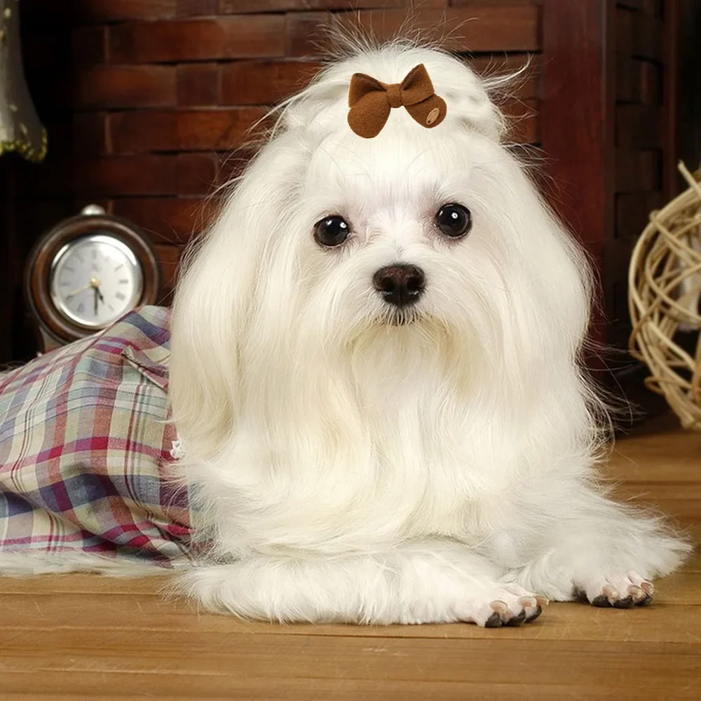100 Uds exquisitos lazos para el pelo de perro Otoño Invierno moda perros pequeños lazos de aseo bandas de goma accesorios para el cabello de perros - imagen 5