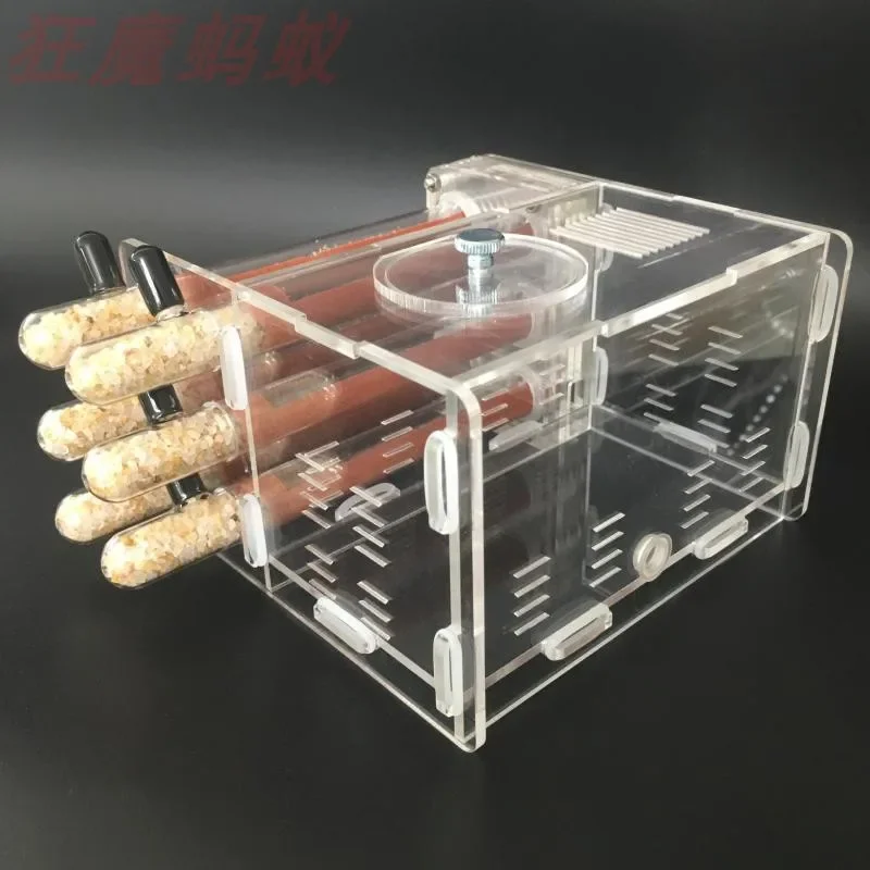 Tubos de ensayo de bambú para granja de hormigas, caja de tubos de ensayo para casa de hormigas con área de alimentación, 6 unidades - imagen 5