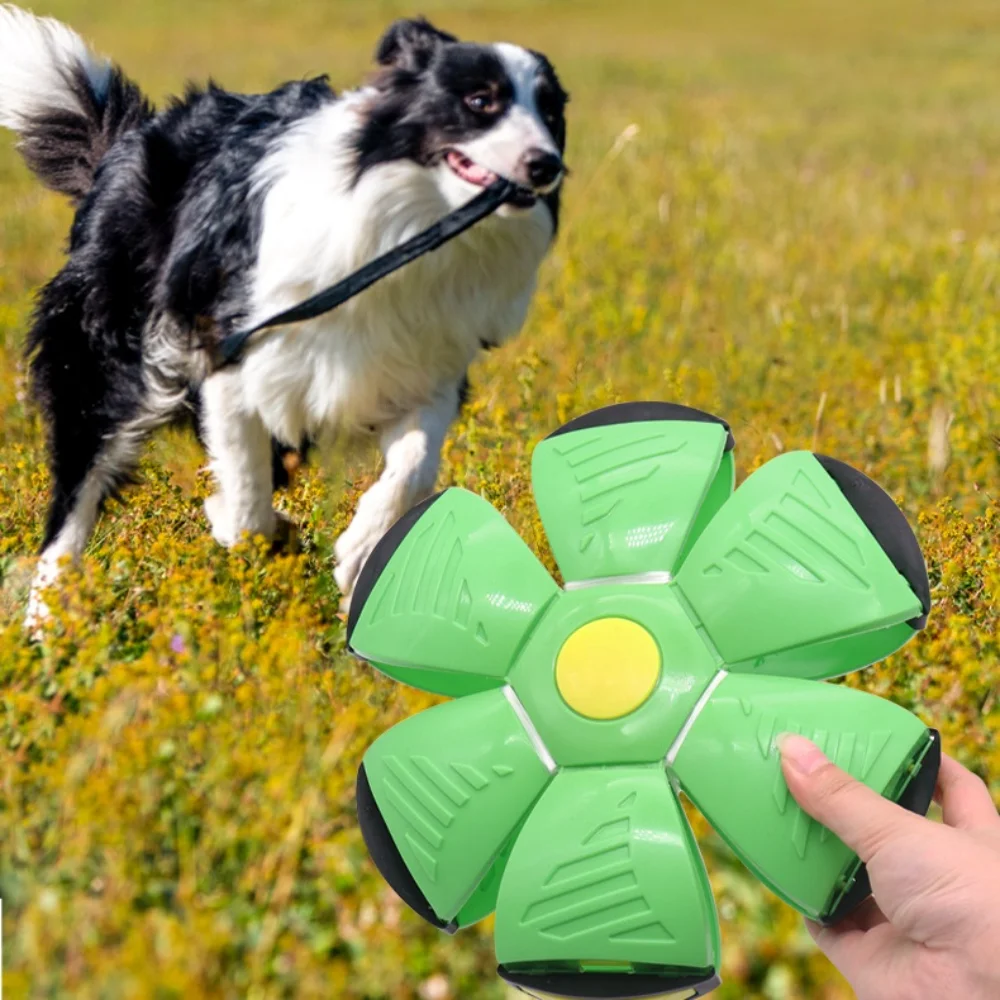 Bola transformadora de disco volador para perros: juguete de búsqueda resistente a masticar y stompable: diseño interactivo de disco volador para juegos al aire libre - imagen 2