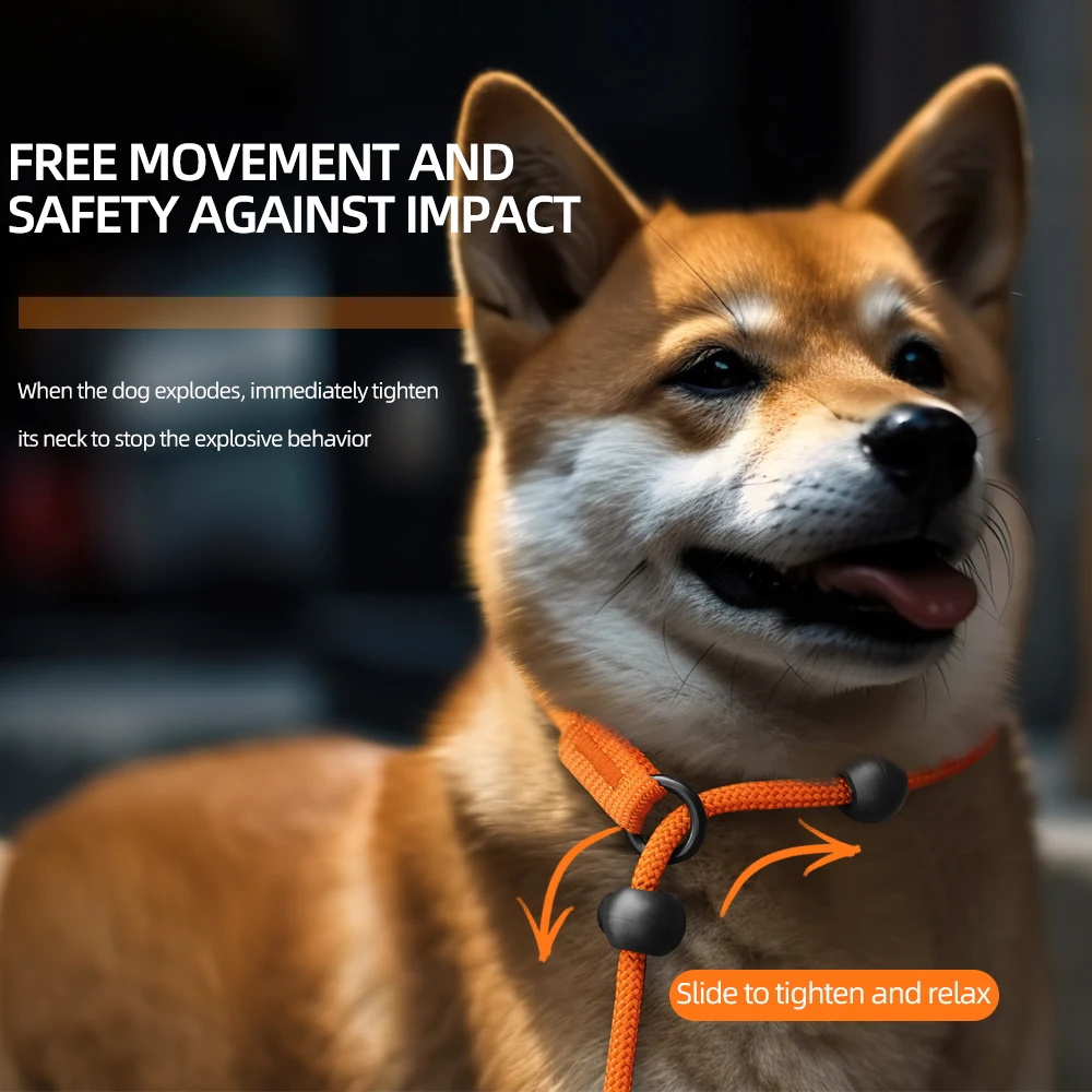 Correa de cadena para perros antitiramiento todo en uno ajustable para perros medianos y grandes: correa de entrenamiento con cuello deslizante y cómodo diseño de anillo en P - imagen 2