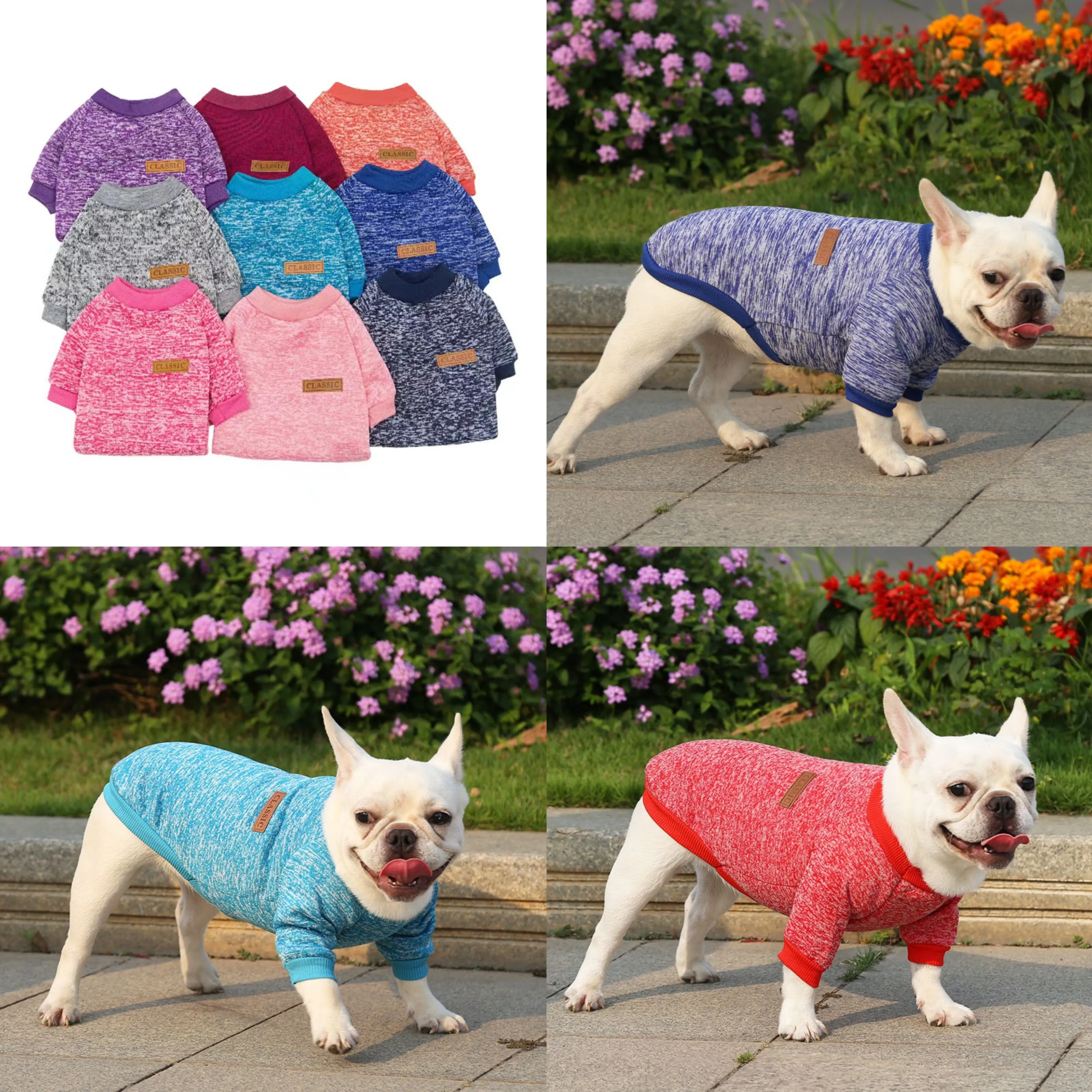 Ropa multicolor de dos patas para perros y gatos, suéter de terciopelo fino para cachorros, ropa para mascotas para otoño e invierno, novedad - imagen 3