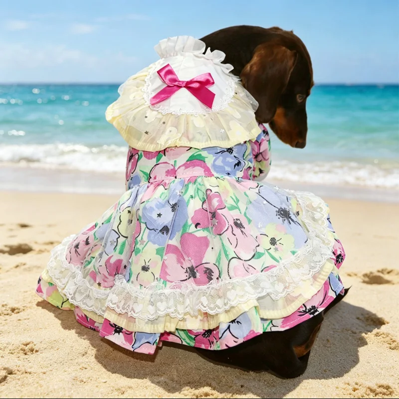 Conjunto de falda y sombrero para perro Teckel, primavera-verano