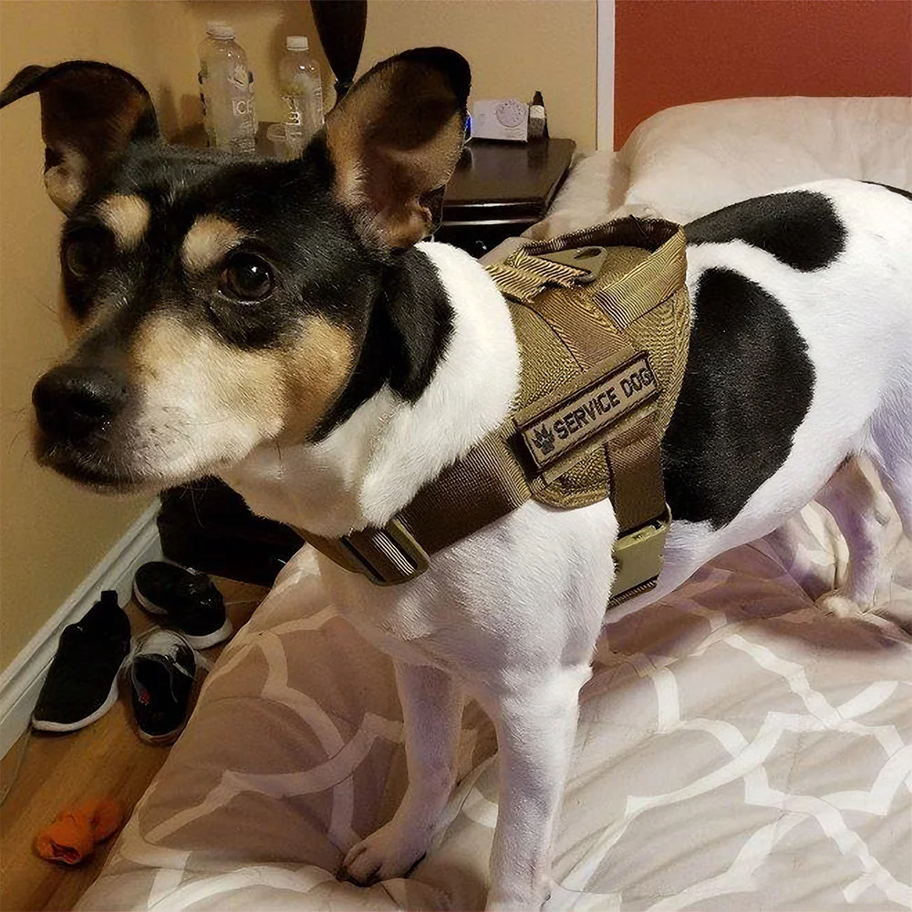 Arnés táctico para perros con juego de correa, chaleco ajustable sin tirar para caminar, arnés de entrenamiento resistente para perros medianos/grandes que caminan