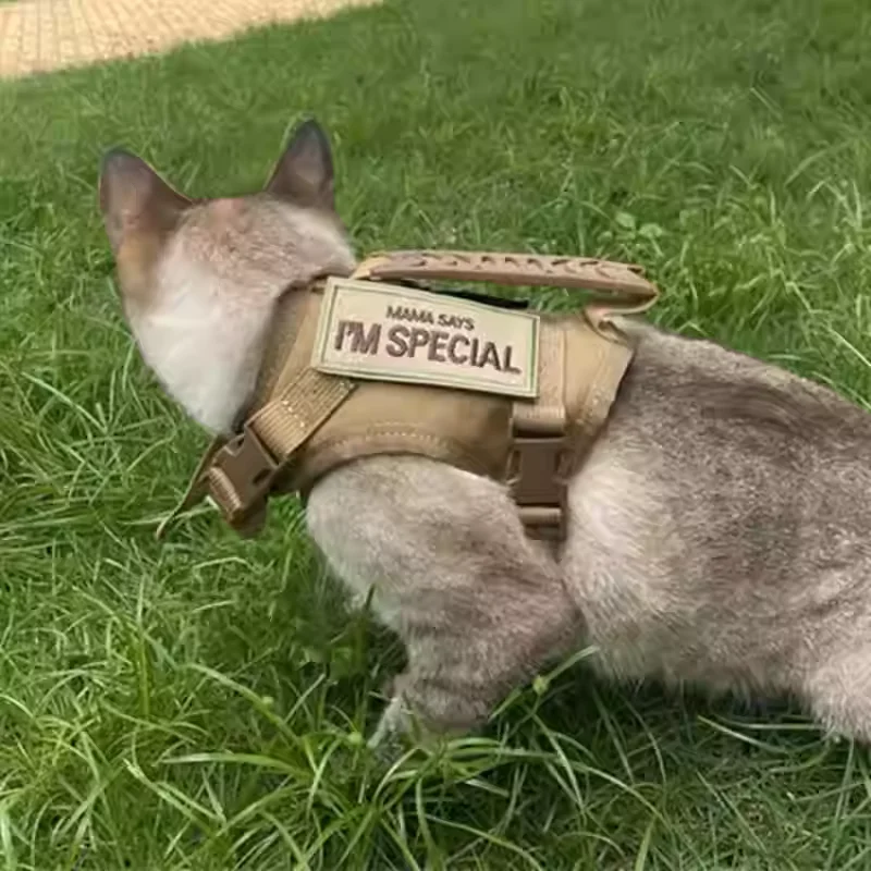 Arnés táctico para gatos y perros pequeños – conjunto con correa - imagen 5