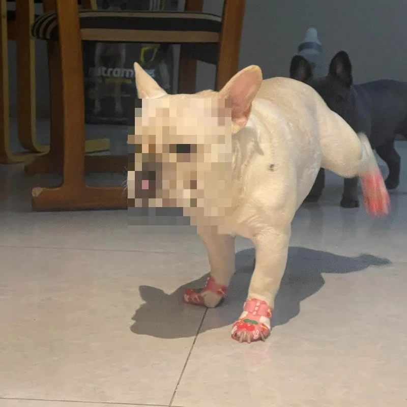 Sandalias de verano para perros, Botas de lluvia transpirables antideslizantes a la moda con dibujos animados, impermeables, resistentes al desgaste, productos para mascotas, accesorios para exteriores - imagen 4