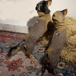 Jersey térmico para perro salchicha – Abrigo de invierno