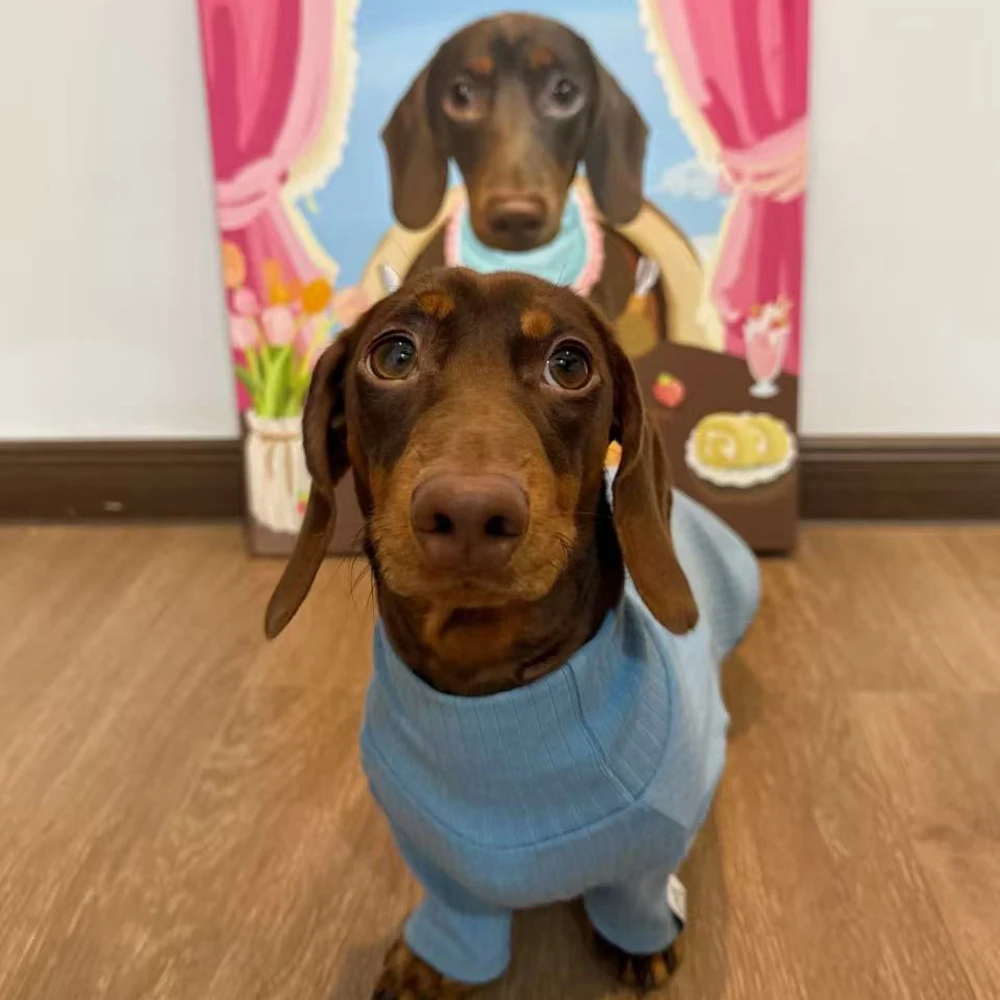 Abrigo suave manga larga para perros pequeños y medianos Dachshund - imagen 3