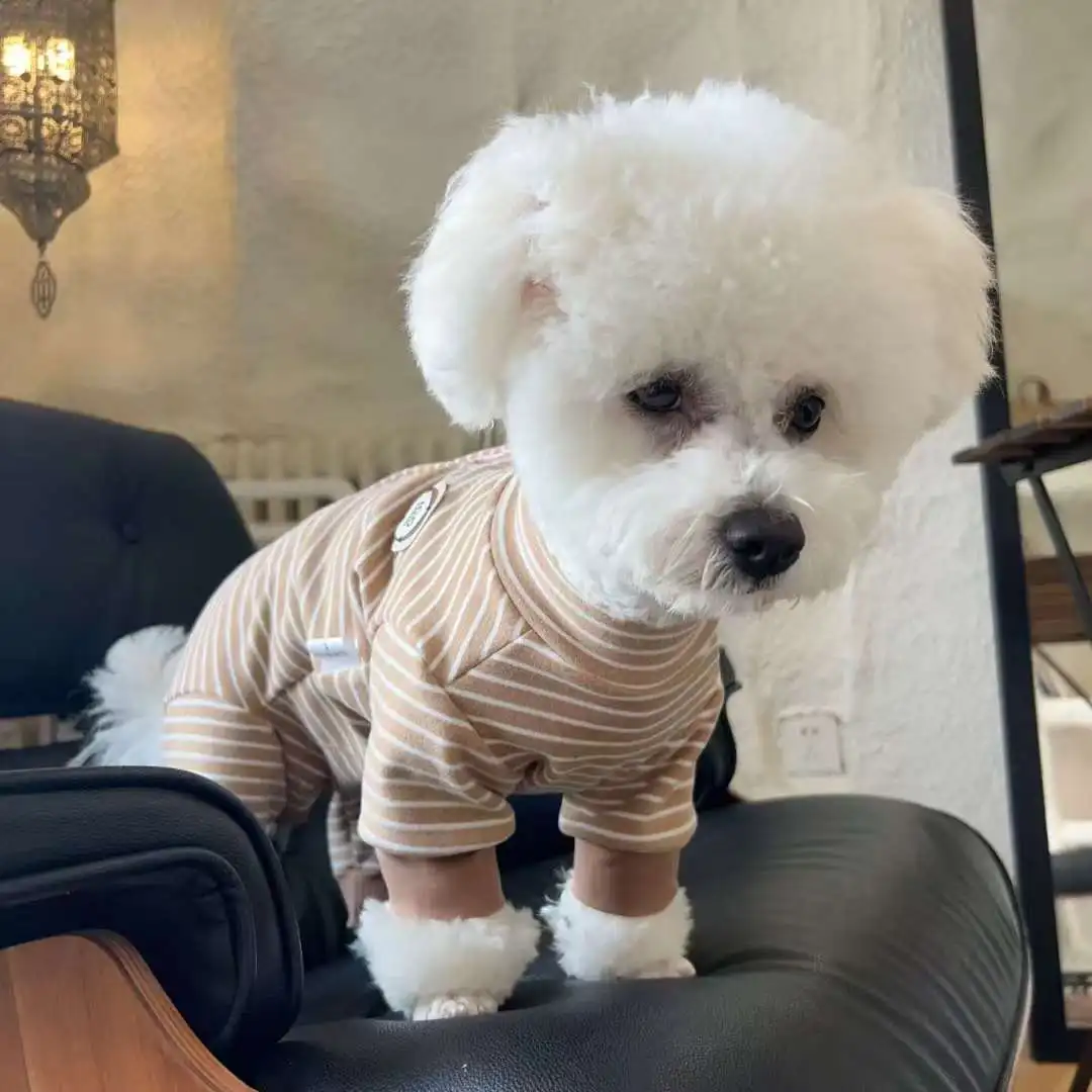 Pet All Inclusive Belly Bottom Shirt Autumn and Winter Striped Versatile Candy Color Warm Four Legged Dog Jumpsuit Puppy Clothes - imagen 2