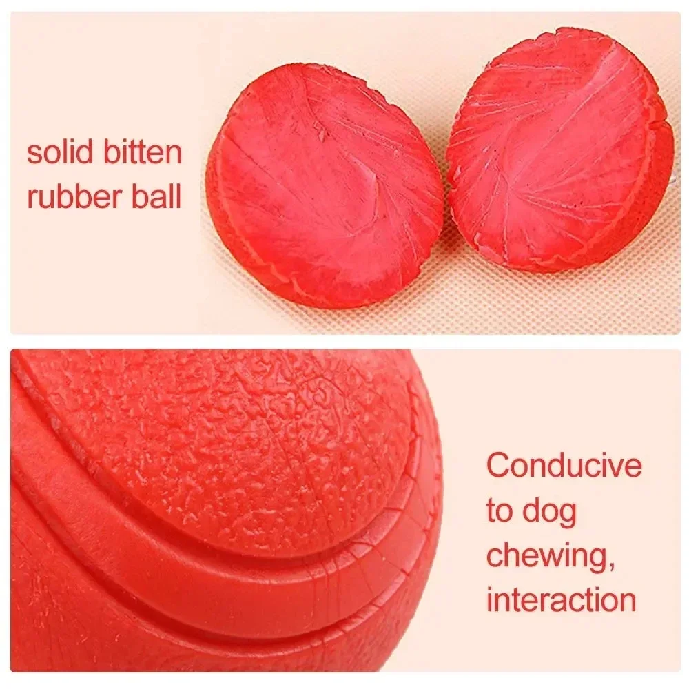 Juguete hinchable duradero para perros, pelota de goma a prueba de masticar, tamaño S a L, pelota Molar interactiva resistente a masticar