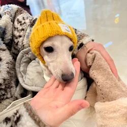 Gorro de punto para Galgo Italiano y Whippet - Invierno cálido