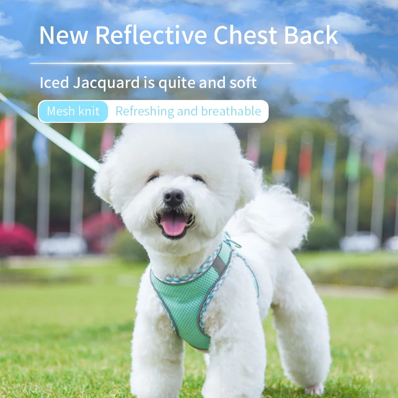 Arnés para perros y gatos, chaleco, conjunto de cuerda para el pecho, arnés ajustable transpirable reflectante para mascotas para perros pequeños y medianos, cachorros para caminar al aire libre - imagen 2