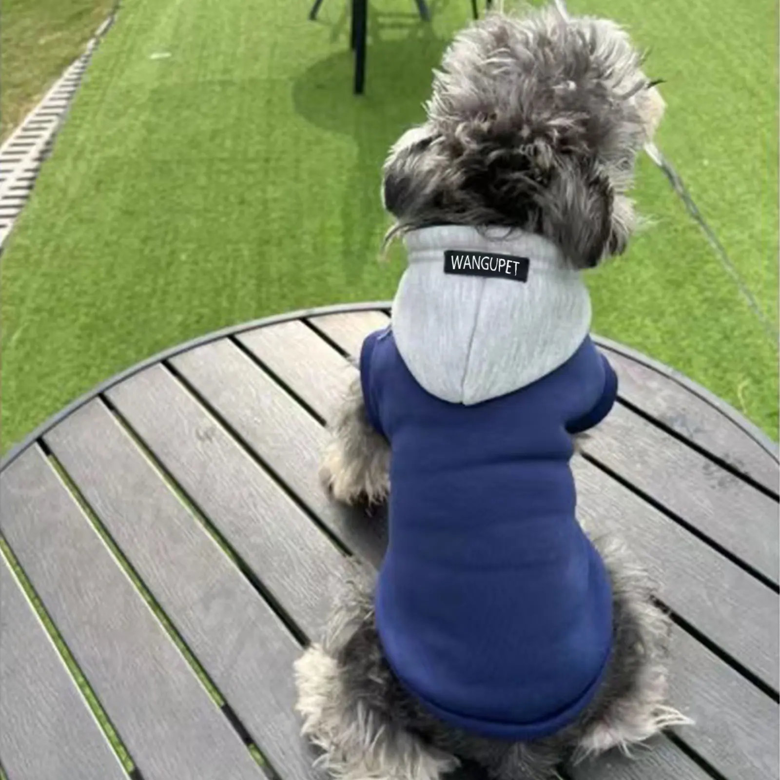 Sudadera con capucha para perro, ropa cálida de invierno, sudadera suave para perros pequeños y medianos, abrigo para perros de clima frío, ropa para perros Bulldog francés Chihuahua - imagen 5