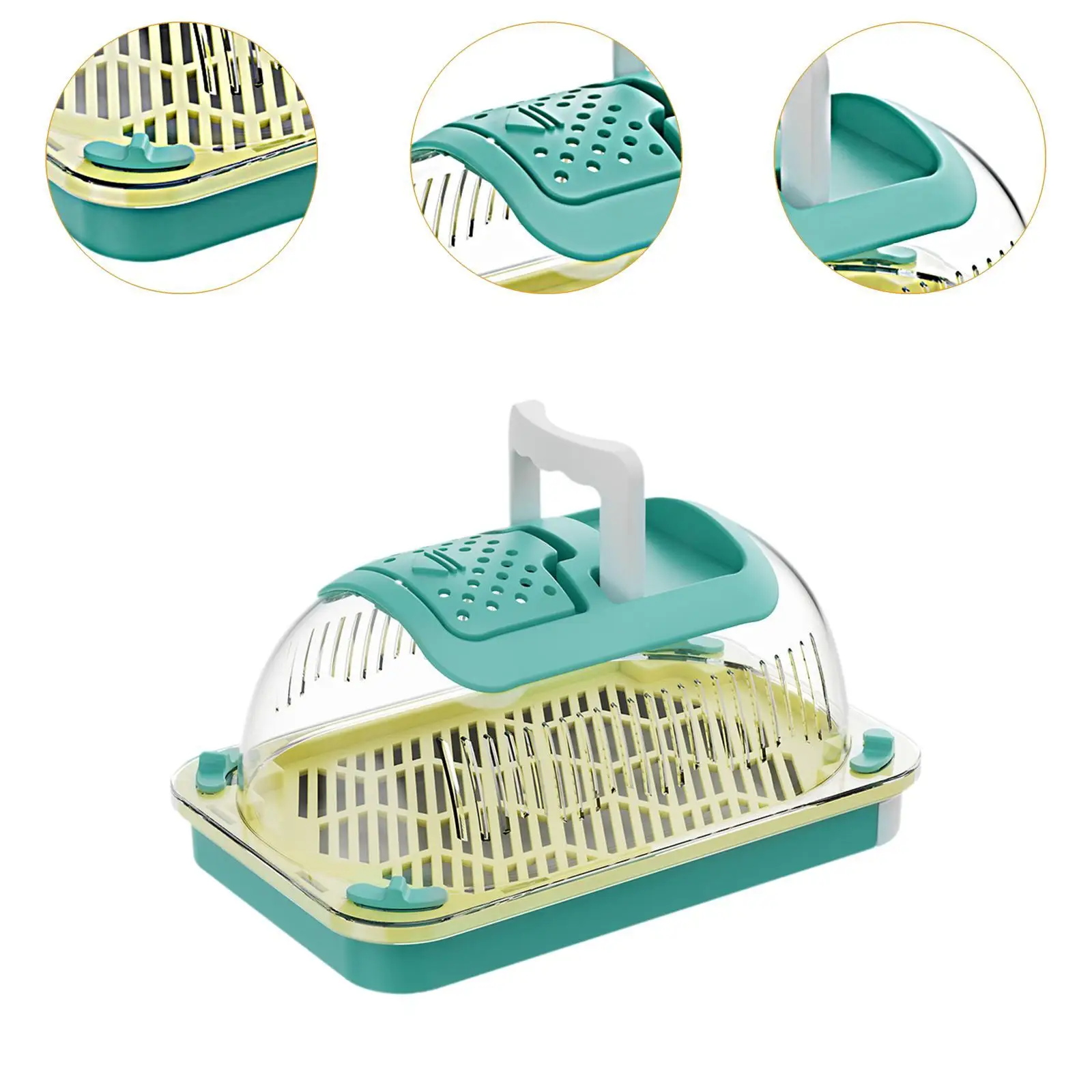 Reptile Terrarium Portable Sturdy Habitat Cage for Terrapin Tortoise