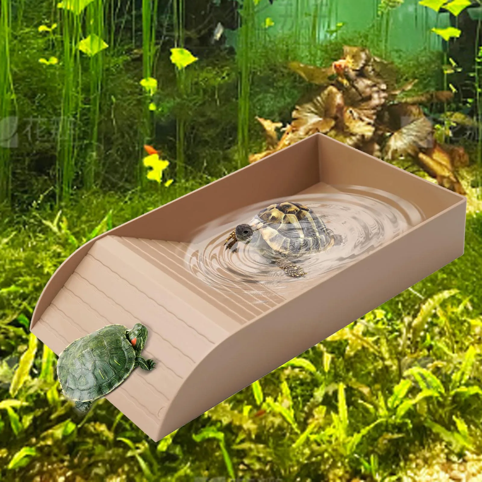 Cuenco de agua para reptiles, plato de alimentación para Tortuga, piscina de baño para leopardo, Gecko, dragón barbudo, accesorios para anfibios - imagen 2
