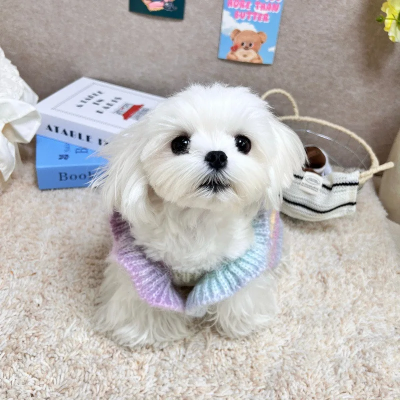 Vestido de punto para otoño/invierno para mascotas, suéter de flores, falda con tirantes degradados de peluche, ropa para cachorros, vestidos para perros pequeños - imagen 4