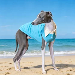 Chaleco suave de algodón para Galgo Italiano y Whippet